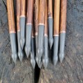 Resized_IMG-20250127-WA0140_1368292158707721.jpeg