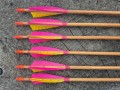 20260606_113631.jpg