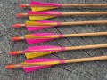 20260606_113642.jpg