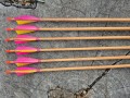 20260606_113647.jpg