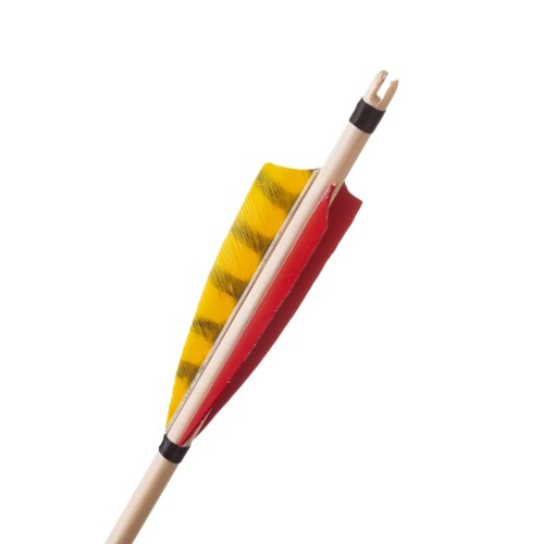 bullfinch yellow .jpg