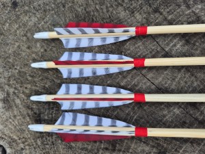 ZESTAW 12szt strzał  5/16", w jednym spinie 43, sosna
