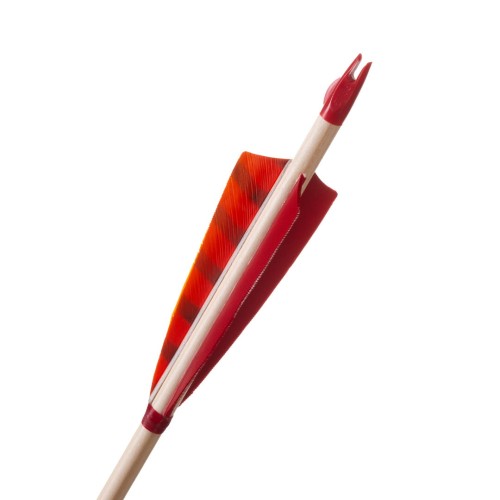 starling orange .jpg