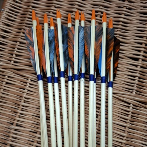 świerk 24 -WA0019.jpg