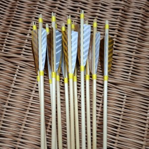 Spin 27 zestaw 12 szt strzał cedr 5/16"