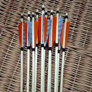 Zestaw 12 strzał w spinie 25-29 świerk 5/16"