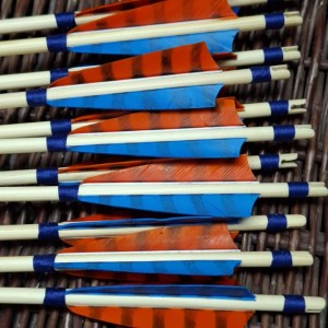 Spin 30 zestaw 12 szt strzał świerk 5/16"
