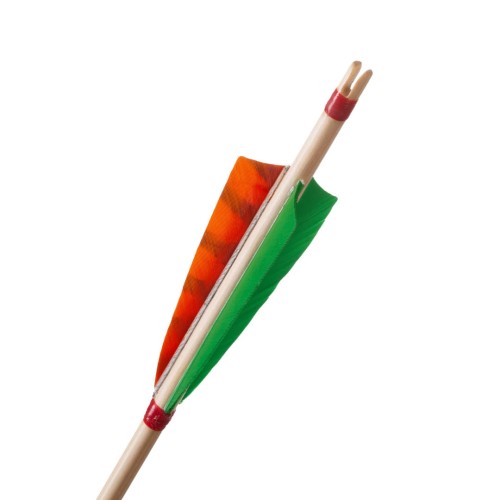 falcon orange .jpg