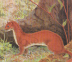 Tarcza Gronostaj 32cm x 22cm