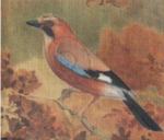 Tarcza Sójka 30cm x 30cm