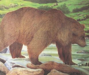 Tarcza Niedźwiedź.png