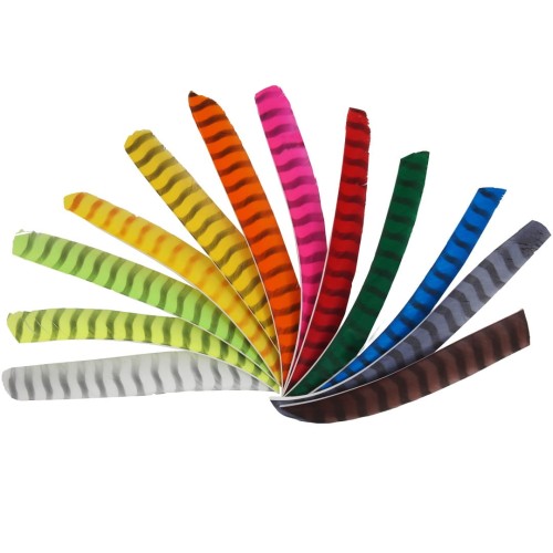 Pióra FULL LENGTH RW Barred 18201 Bearpow.jpg