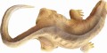 VaranusB4.jpg