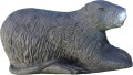 cel 3d nutria