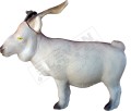 Goat1.jpg
