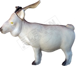 Cel łuczniczy 3D KOZA