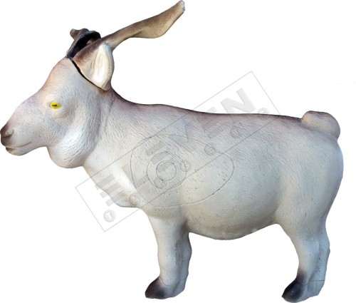 Goat1.jpg