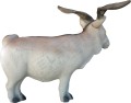 Goat2.jpg