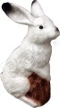 HareArctic3.jpg
