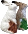 HareArctic4.jpg
