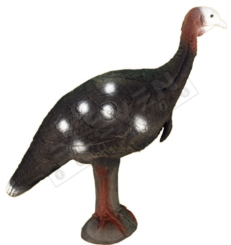 cel łuczniczy 3d indyk