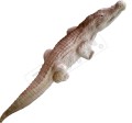 cel łuczniczy 3d