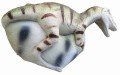 BabyDino04.jpg