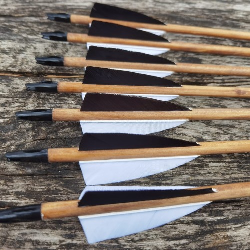 strzały dla początkujących.jpg