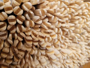 Promienie świerkowe lakierowane wycięta osada 5/16" spin 40-44