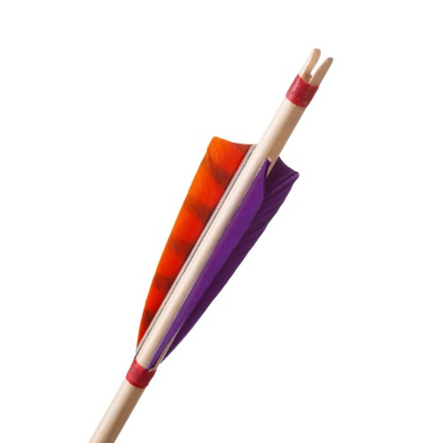 heron orange .jpg