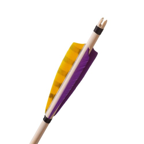 heron yellow .jpg