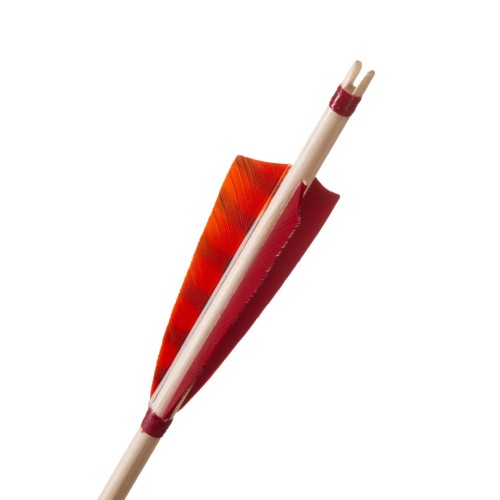 bullfinch orange .jpg