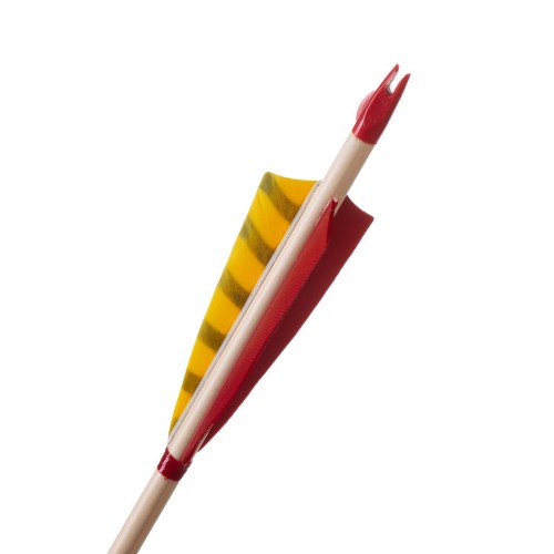 starling yellow .jpg