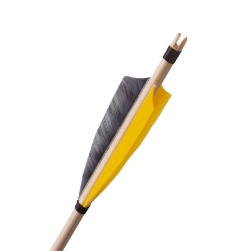 eco oriole grey .jpg