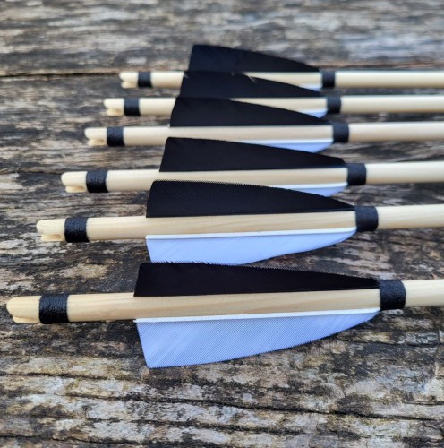 strzała dla odtwórców .jpg