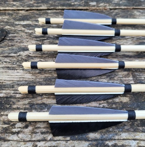 strzała dla odtwórców.jpg