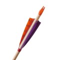 kestrel orange .jpg