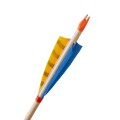 kingfisher yellow .jpg
