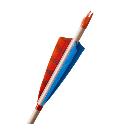 kingfisher orange .jpg