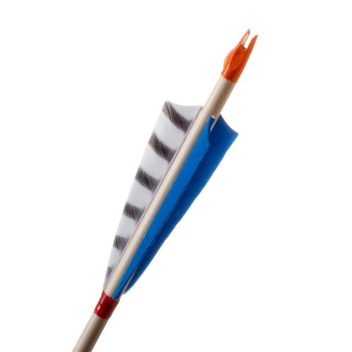 kingfisher white .jpg